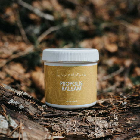 Propolis balsem