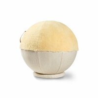 Fellhof Zit- en Gymanstiekbal Vida